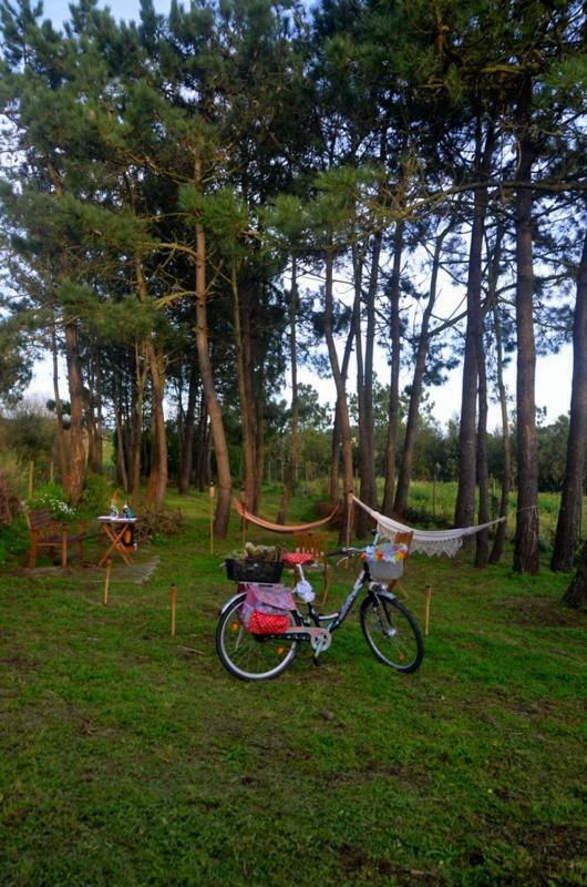Happy Cat House - Holiday Rental São Martinho do Porto Exteriér fotografie