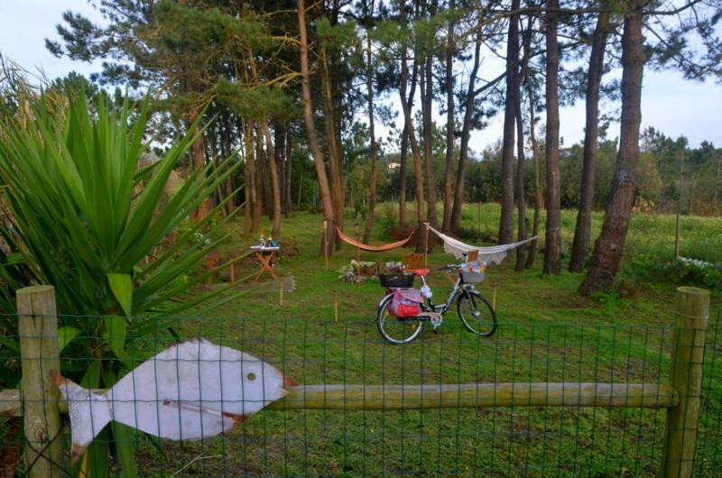 Happy Cat House - Holiday Rental São Martinho do Porto Exteriér fotografie