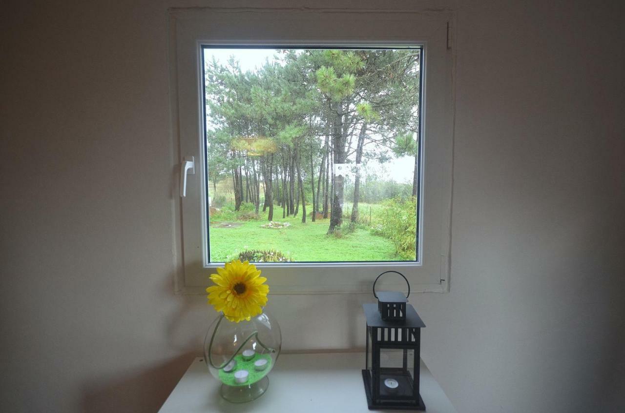 Happy Cat House - Holiday Rental São Martinho do Porto Exteriér fotografie